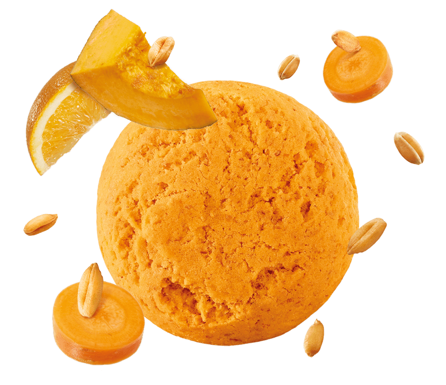 MISURA FIBRE EXTRA BISCOTTI FILLED PUMPKIN CARROT ORANGE 260 GR (8 in a box)