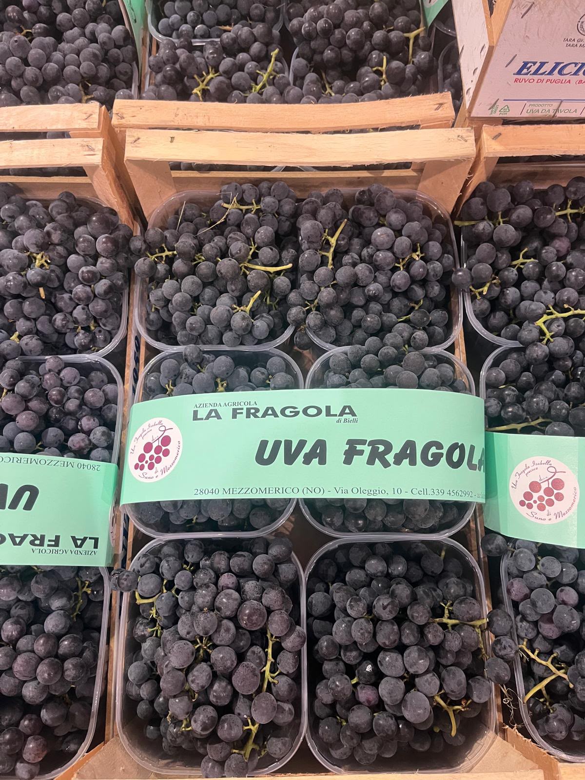 FRESH FRUITS GRAPES STRAWBERRIES FRAGOLA £6.31 AL KG (APPROX 5.6 KG) - ONLY LONDON AREA