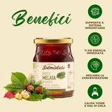 SOLMIELATO BIO HONEY MIELE MIELATA DI BOSCO JAR 300 GR (6 in a box)