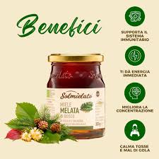 SOLMIELATO BIO HONEY MIELE MIELATA DI BOSCO JAR 300 GR (6 in a box)