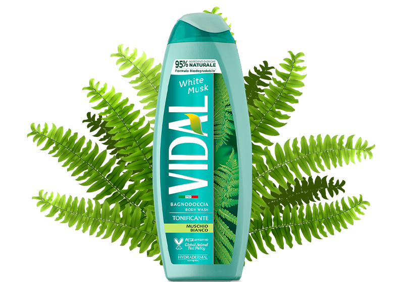 VIDAL SHOWER BATH TONIFICANTE MUSCHIO BIANCO 500 ML (12 in a box)