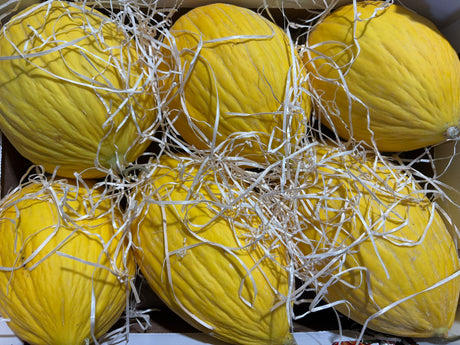 FRESH FRUITS MELON HONEYDEW £1.75 AL KG (APPROX 8 KG) - ONLY LONDON AREA