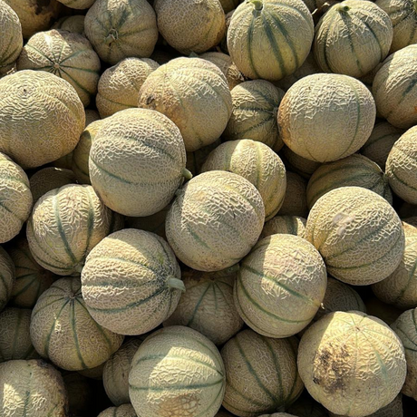 FRESH FRUITS MELON CANTALOUPE X6 £1.87 AL KG (APPROX 6.7 KG) - ONLY LONDON AREA