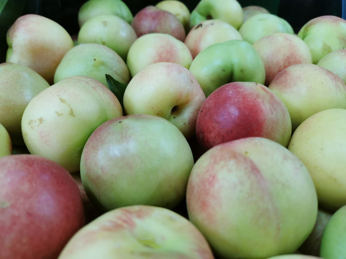 FRESH FRUITS PEACH MERENDELLE £6 AL KG (APPROX 6.85 KG) - ONLY LONDON AREA