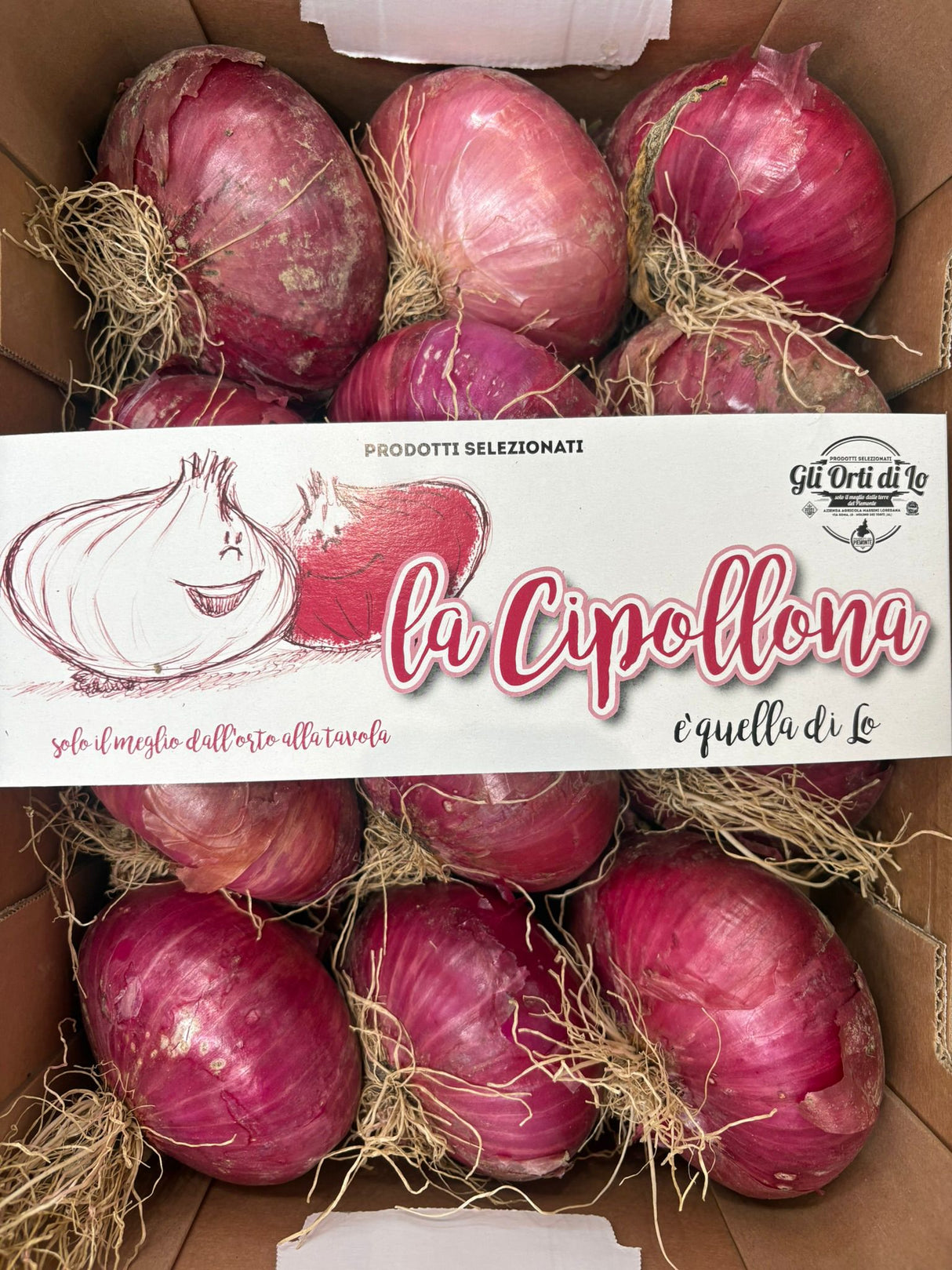 FRESH VEGETABLES ONION BREME £4.81 AL KG (APPROX 5.8 KG) - ONLY LONDON AREA