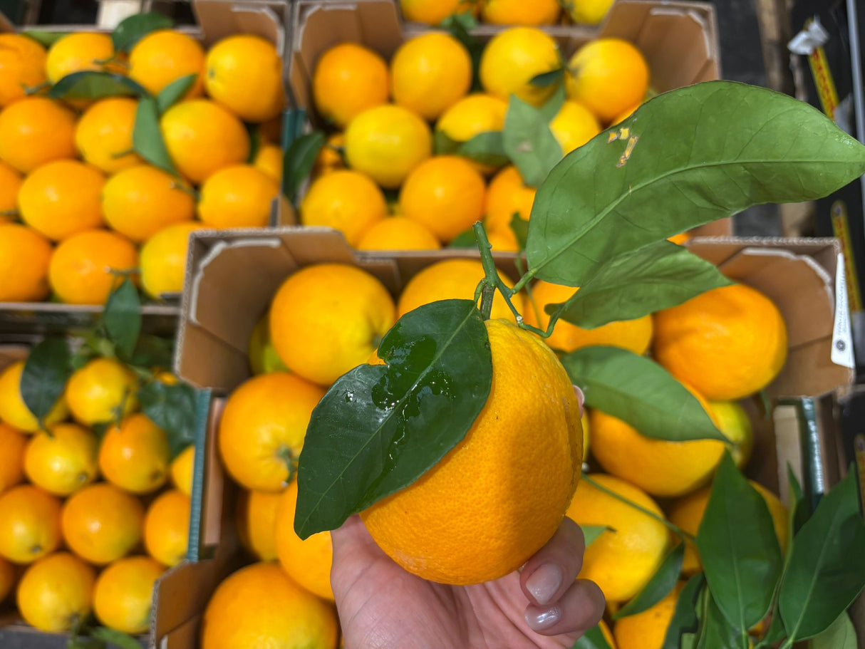 FRESH FRUITS ORANGE LEAFY NAVEL CAL 4 £3.5 AL KG (APPROX 9 KG) - ONLY LONDON AREA