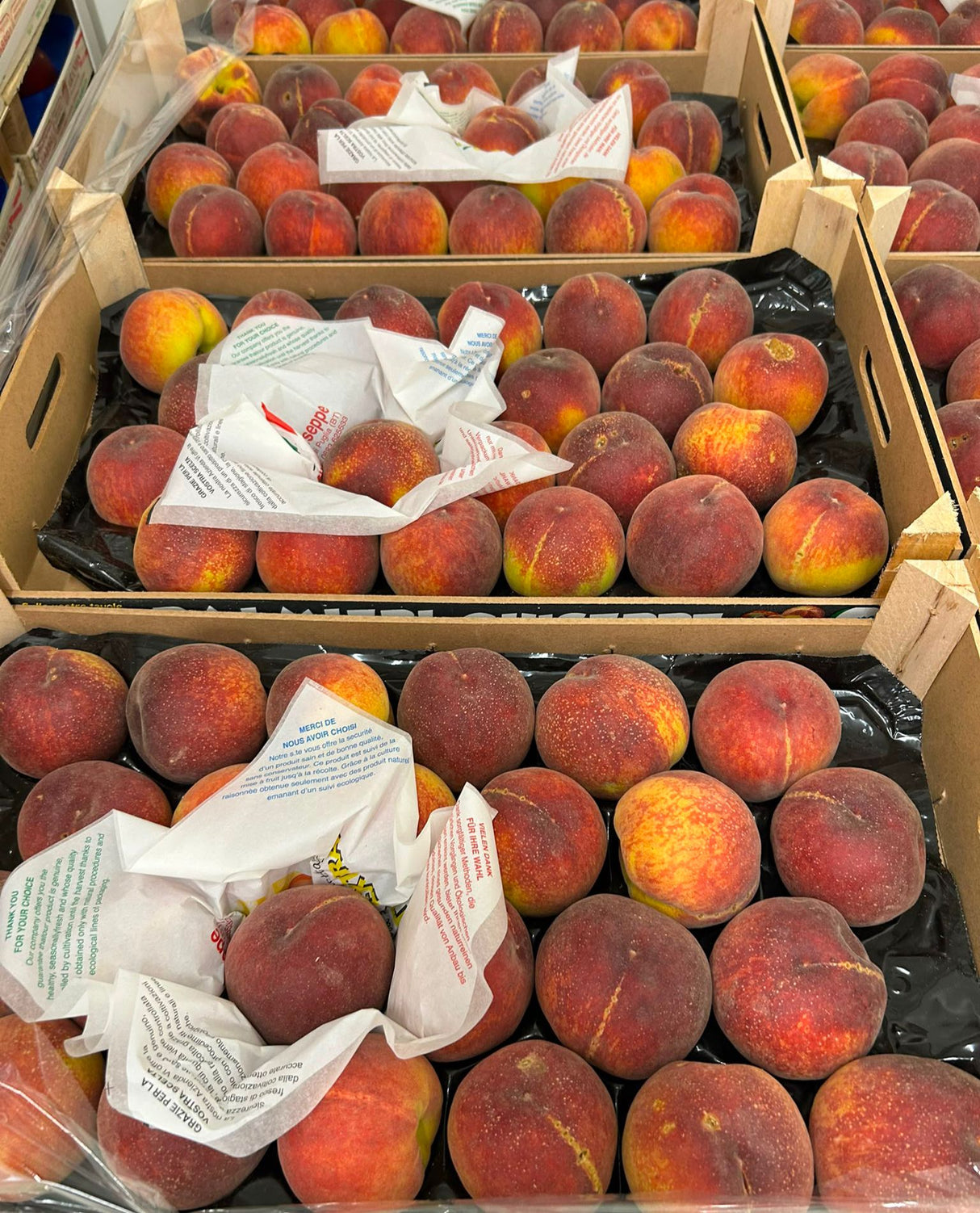 FRESH FRUITS PEACH YELLOW TRY CAL 24 £3.93 AL KG (APPROX 4.8 KG) - ONLY LONDON AREA