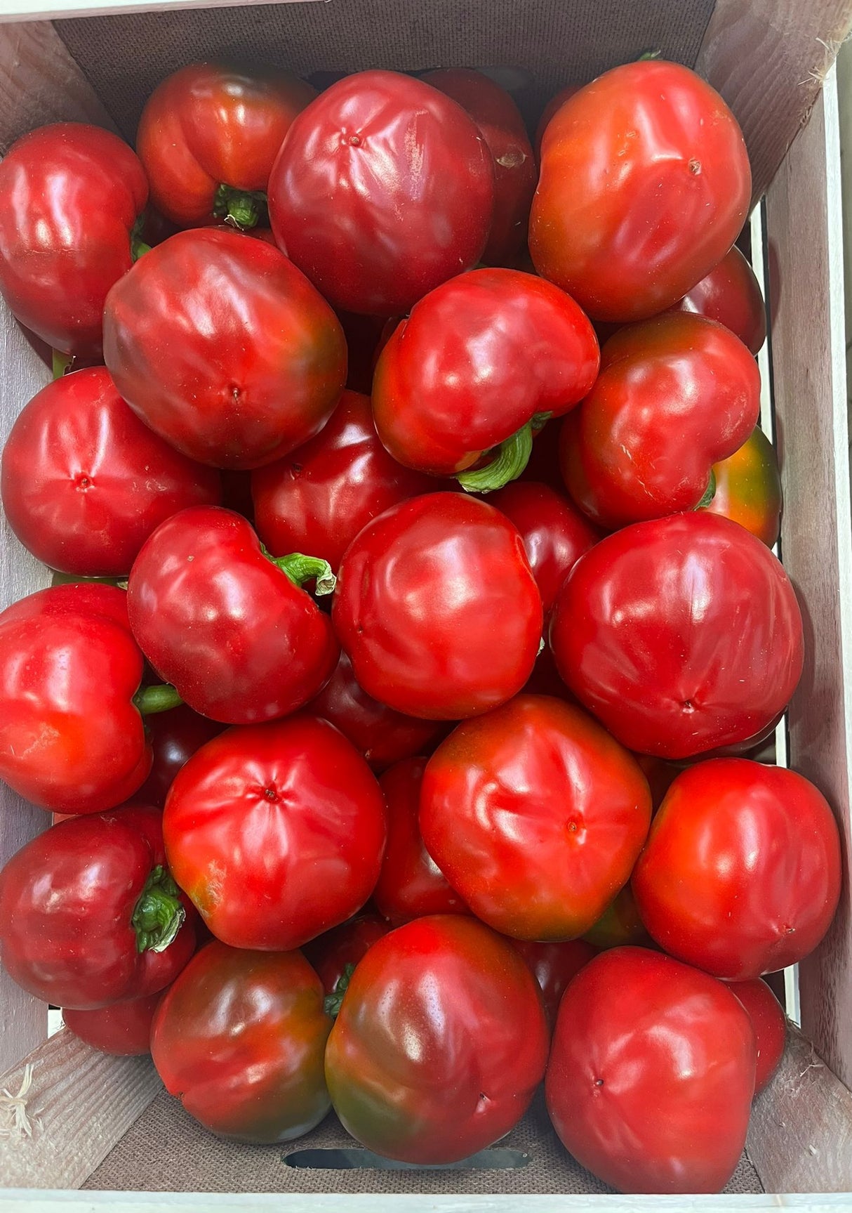 FRESH VEGETABLES PEPPERS TOPEPO RED £4.25 AL KG (APPROX 8.4 KG) - ONLY LONDON AREA