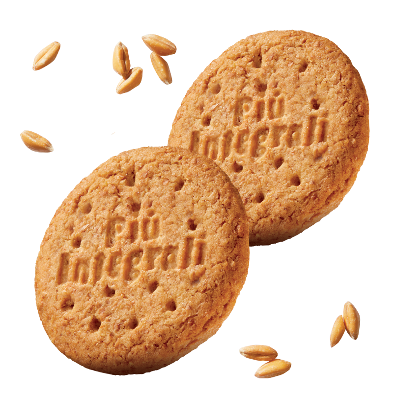 GALBUSERA BISCOTTI WHOLEMEAL PIU' INTEGRALI 100% X6 330 GR (10 in a box)