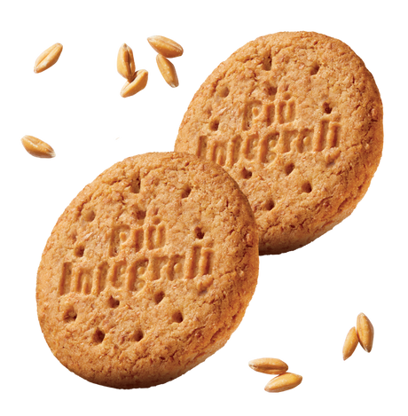 GALBUSERA BISCOTTI WHOLEMEAL PIU' INTEGRALI 100% X6 330 GR (10 in a box)