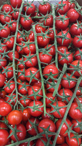 FRESH VEGETABLES TOMATO CHERRY ON THE VINE EXTRA £4.31 AL KG (APPROX 4 KG) - ONLY LONDON AREA