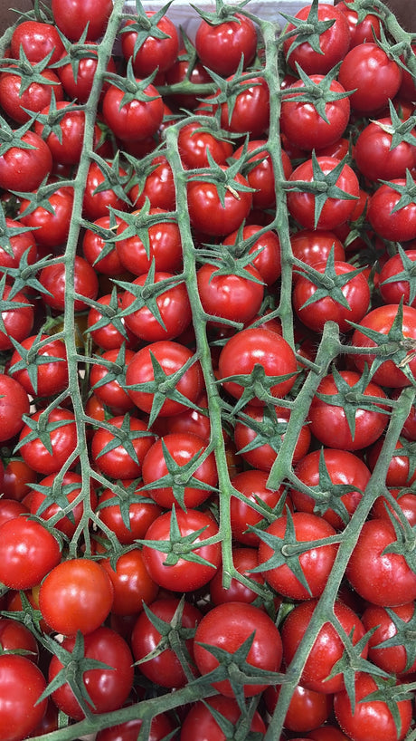 FRESH VEGETABLES TOMATO CHERRY ON THE VINE EXTRA £4.31 AL KG (APPROX 4 KG) - ONLY LONDON AREA