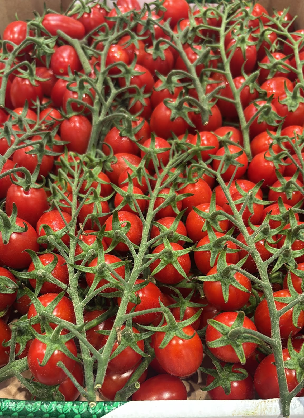FRESH VEGETABLES TOMATO BABY PLUM ON THE VINE £4.18 AL KG (APPROX 4 KG) - ONLY LONDON AREA