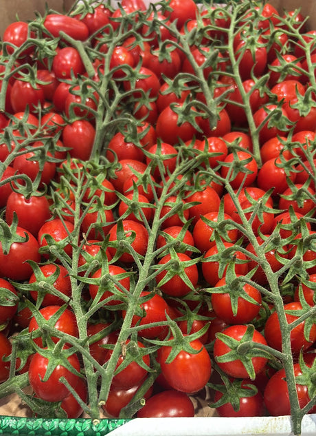 FRESH VEGETABLES TOMATO BABY PLUM ON THE VINE £4.18 AL KG (APPROX 4 KG) - ONLY LONDON AREA