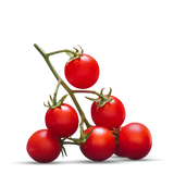 ROSSO GARGANO POMODORI DI PUGLIA TIN 400 GR (24 in a box)