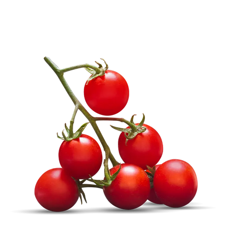 ROSSO GARGANO POMODORI DI PUGLIA TIN 400 GR (24 in a box)