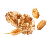 MISURA PROTEIN CEREALS WHEAT RICE AND OATS 320 GR (10 in a box)