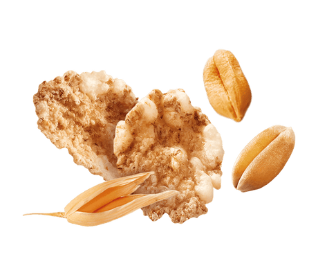 MISURA PROTEIN CEREALS WHEAT RICE AND OATS 320 GR (10 in a box)