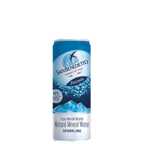 SAN BENEDETTO CARBONATED WATER CANS 330 ML (24 in a box)