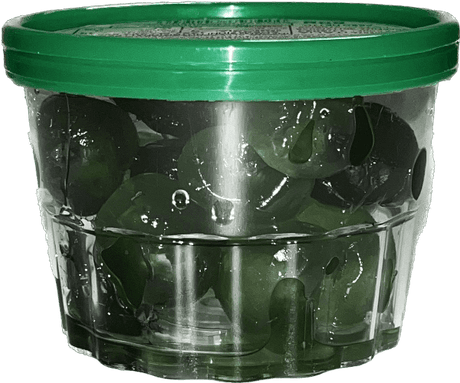 GI. AN. AROMI CRYSTALLIZED CHERRIES GREEN 80 GR (24 in a box)