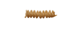 RUMMO PASTA WHOLEMEAL FUSILLI N.48 500 GR (16 in a box)