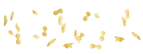 GAROFALO PASTINA PASTA DI GRAGNANO IGP FARFALLINE N.23 500 GR (16 in a box)