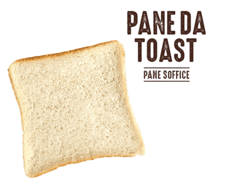 DAILYBREAD TOAST BREAD 500 GR (16 in a box)