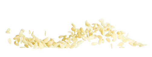 GAROFALO PASTINA PASTA DI GRAGNANO IGP SEMI DI MELONE N.20 500 GR (16 in a box)