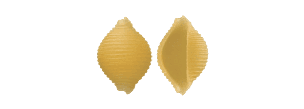 RUMMO PASTA DI SEMOLA CONCHIGLIE RIGATE N.42 500 GR (16 in a box)