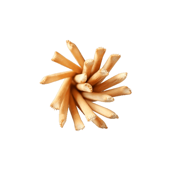 ROBERTO BREADSTICKS TORINESI 350 GR (10 in a box)