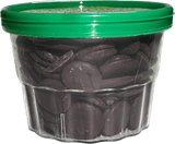 GI. AN. SUBSTITUTE DARK CHOCOLATE COVERED 100 GR (24 in a box)