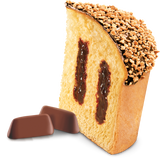 MAINA PANETTONE GIANDUIA 750 GR (16 in a box)