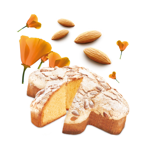 MAINA COLOMBA GRAN PANDORELLA 900 GR (12 in a box)