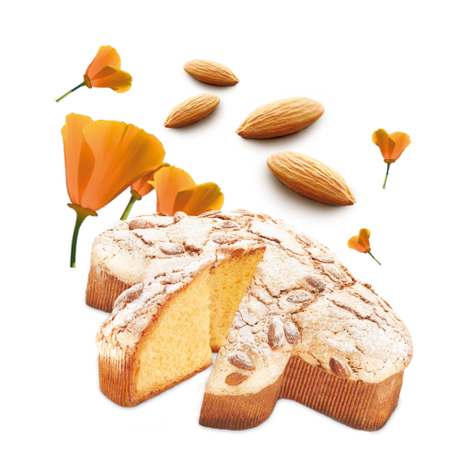 MAINA COLOMBA GRAN PANDORELLA 900 GR (12 in a box)