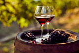 VINI ITALIA RED WINE ORGANIC VIGNAMADRE KRIYA MONTEPULCIANO DOC , ABRUZZO, ITALY 75 CL (6 IN A BOX)