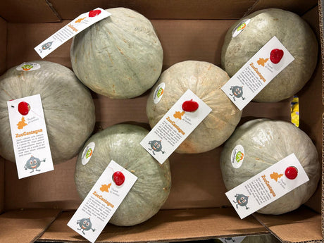 FRESH VEGETABLES SQUASH CASTAGNA £2.75 AL KG (APPROX 11.5 KG) - ONLY LONDON AREA