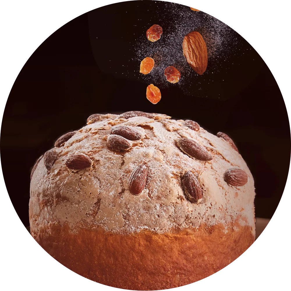 BAULI PANETTONE DI VERONA WITHOUT CANDIED FRUITS 1 KG (16 in a box)