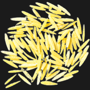 DIVELLA PASTINA DI SEMOLA ROSMARINO N.70 500 GR (24 in a box)