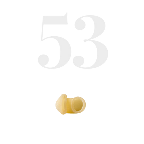 MOLISANA PASTA DI SEMOLA LUMACHINE N.53 500 GR (24 in a box)