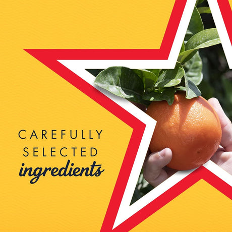 SAN PELLEGRINO ARANCIATA CANS 330 ML (24 in a box)