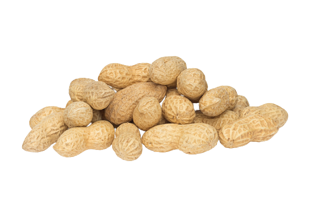 SORRENTINO DRIED FRUITS ARACHIDI IN GUSCIO 5 KG (1 in a box)