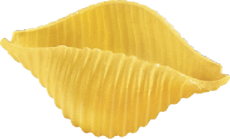 BARILLA PASTA DI SEMOLA CONCHIGLIE RIGATE N.93 500 GR (24 in a box)