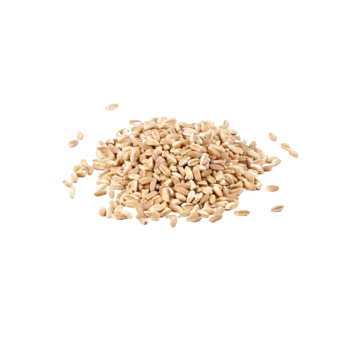 SCHIOPPI DRIED VEGETABLES FARRO PELATO 5 KG (1 in a box)