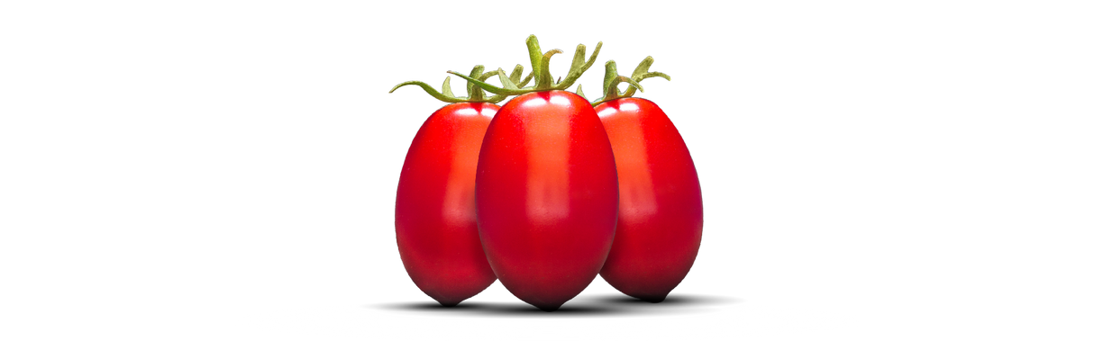 ROSSO GARGANO POMODORI DATTERINI DI PUGLIA TIN 400 GR (24 in a box)