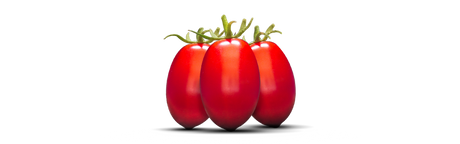 ROSSO GARGANO POMODORI DATTERINI DI PUGLIA TIN 400 GR (24 in a box)