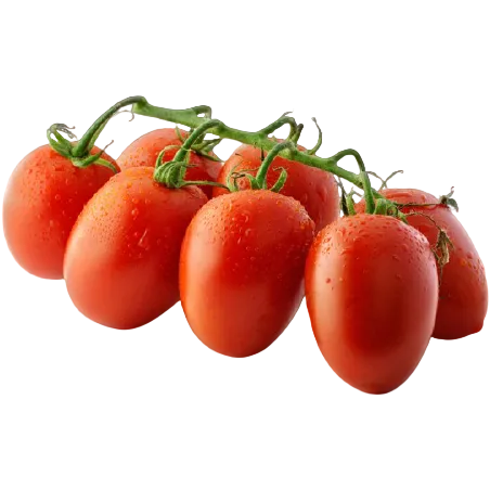 COSI' COME' POMODORO DATTERINO RED WHOLE 350 GR (12 in a box)
