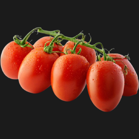 LA FIAMMANTE IL POMODORINO TIN 400 GR (24 in a box)