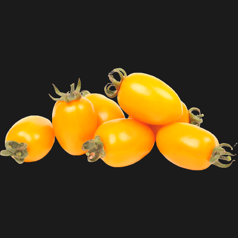COSI' COME' TOMATO DATTERINO YELLOW WHOLE 350 GR (12 in a box)