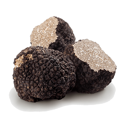 URBANI TARTUFI SUMMER BLACK TRUFFLES 25 GR (12 in a box)