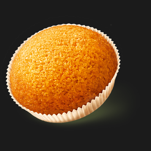 MULINO BIANCO ARMONIA SNACK CAMILLE X8 304 GR (8 in a box)